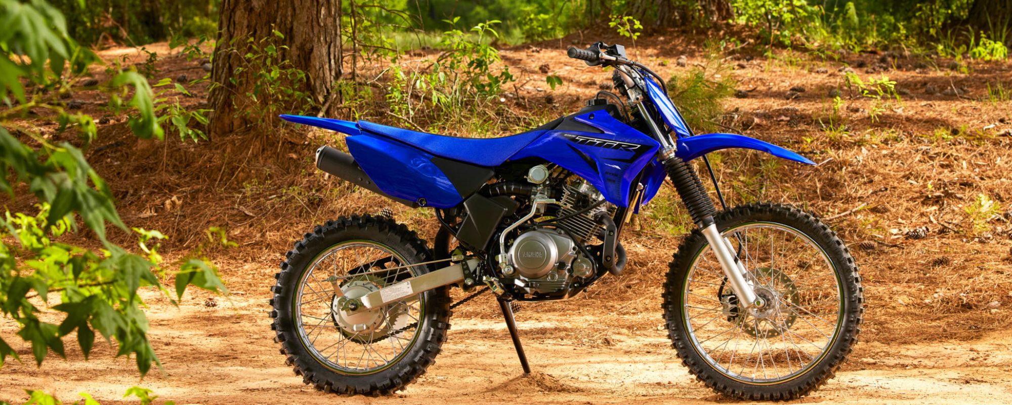 Yamaha TTR 125
